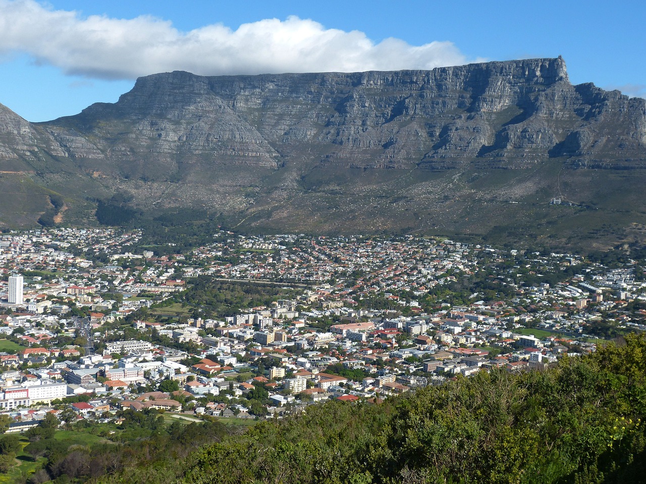 Why Cape Town is Perfect for Adventure Seekers and Nature Lovers